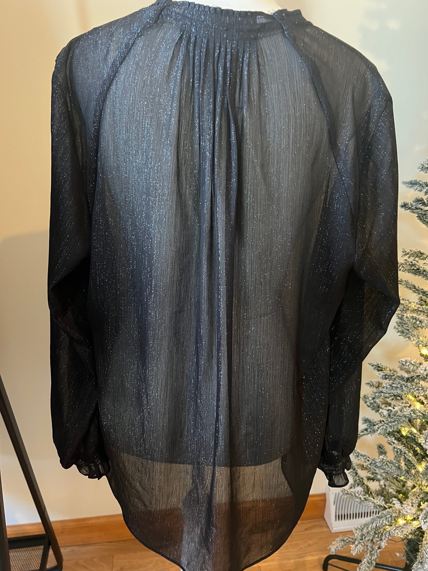 Sheer Black Shimmery Blouse